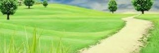 roy_ugrasen's profile banner image