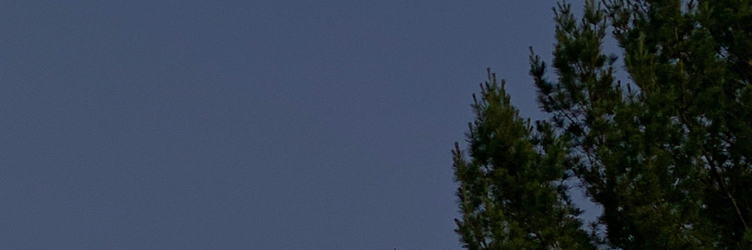 willowsara's profile banner image