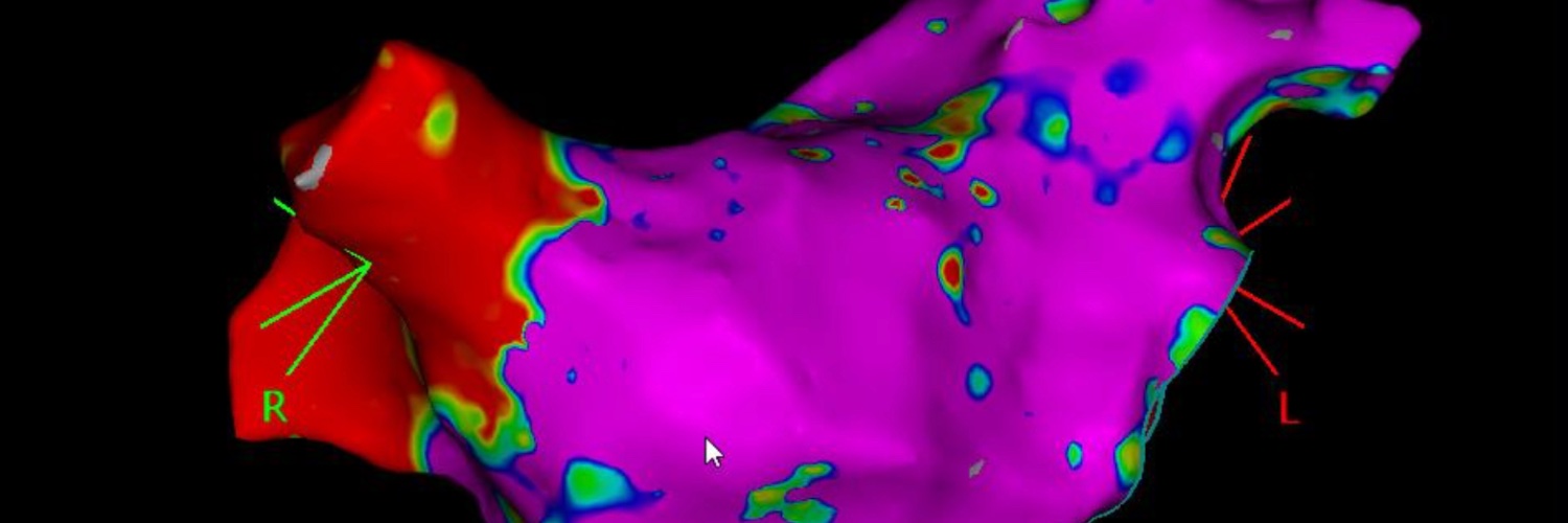 Jan-Per Wenzel banner