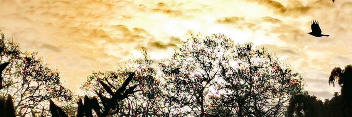 VicarSpready's profile banner image