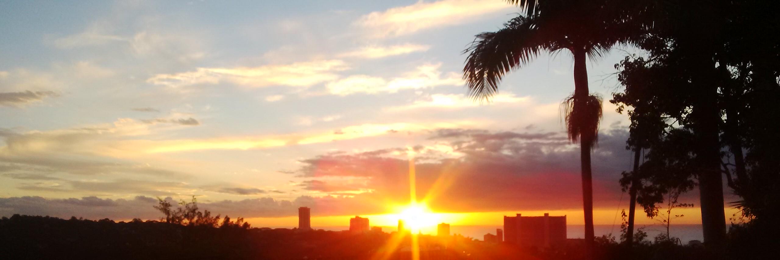 michaela_bosch's profile banner image