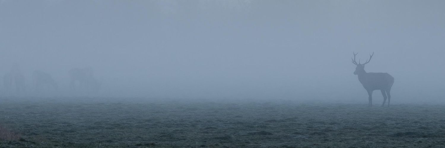 Kago_M_'s profile banner image