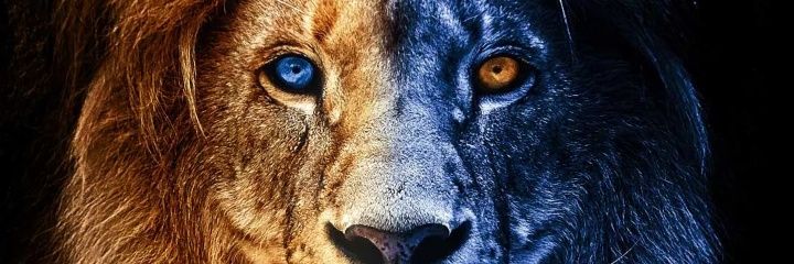 realgoldaustin banner