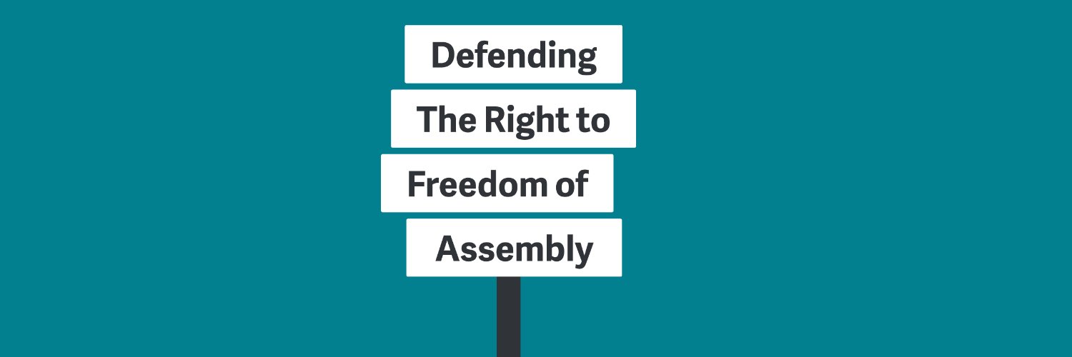 Article 11 Trust's banner