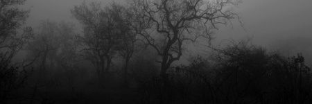 ekdfr's profile banner image