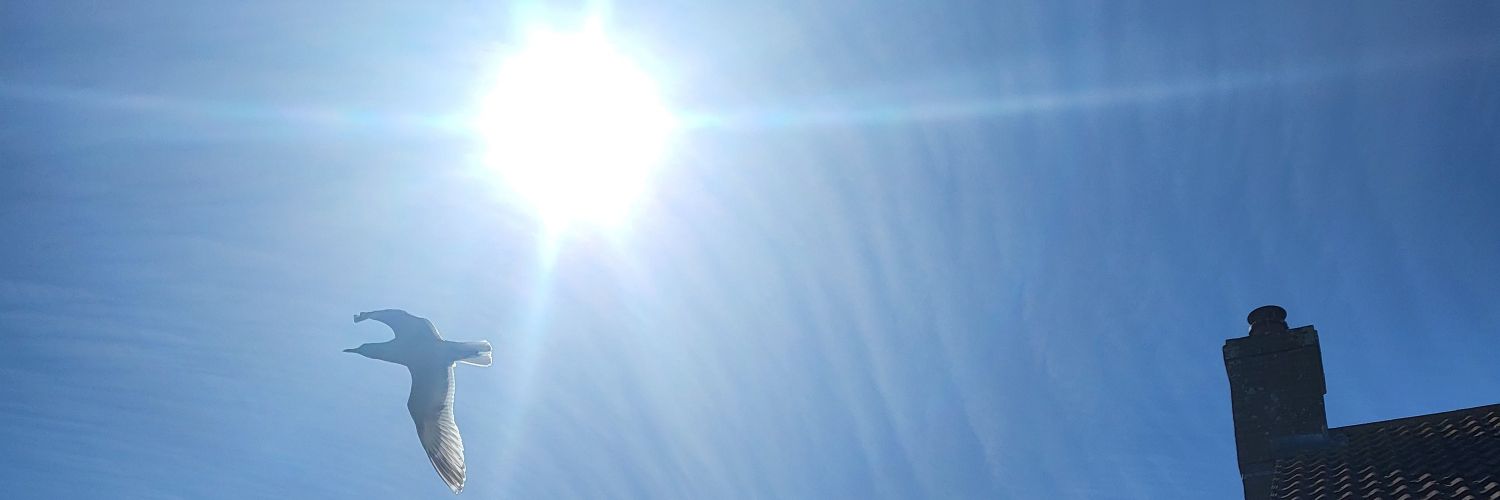 _RealWorld2021's profile banner image