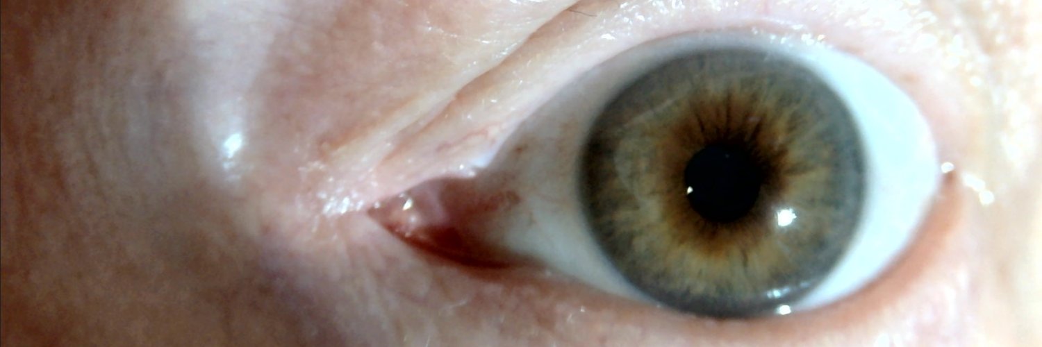 📚 Brown Pascal, Écrivain Science Fiction. banner