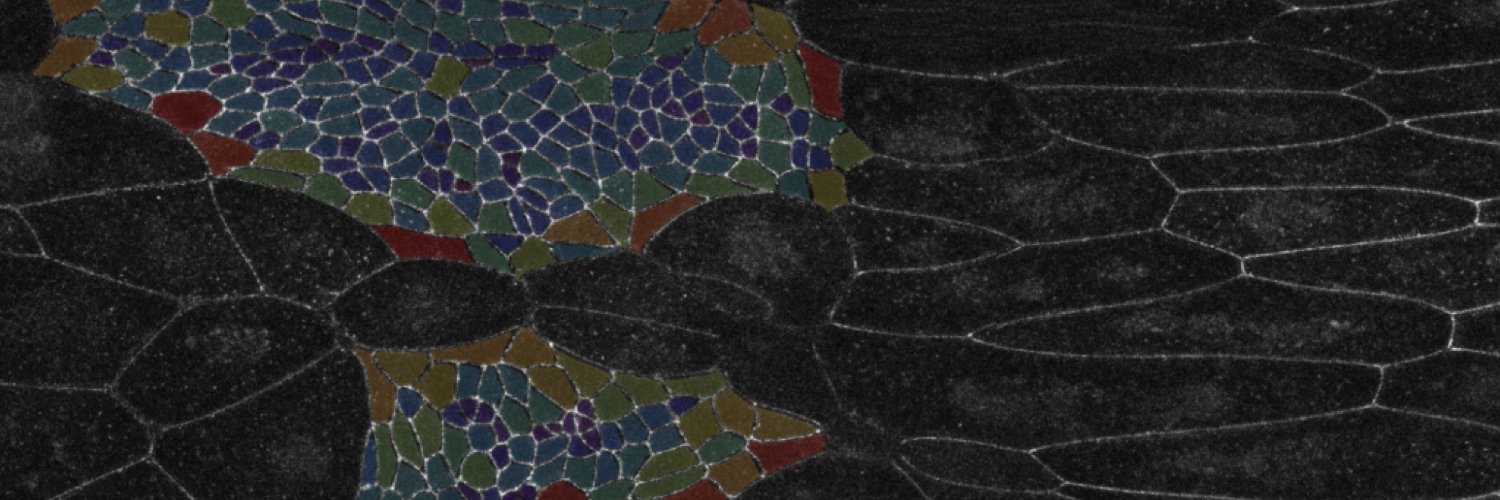 Taponlab's banner