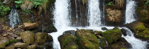 MerceChaconD Profile Banner