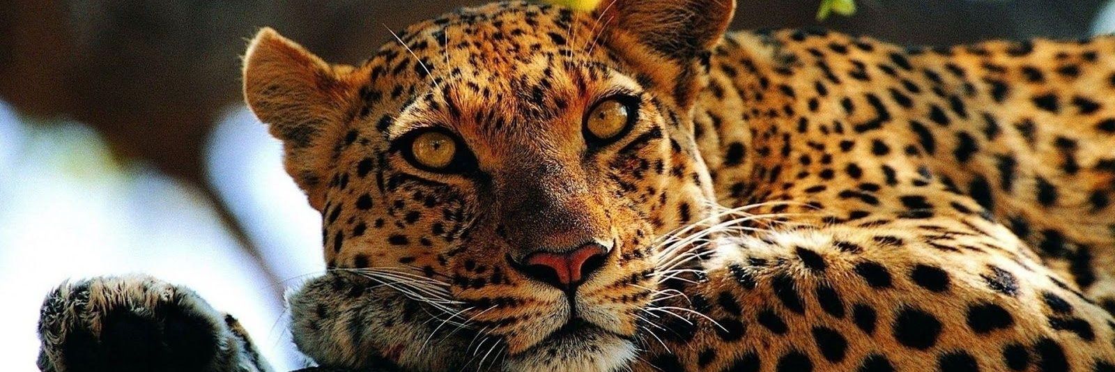 KabaridiWeb3.base.eth banner