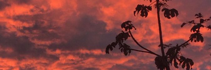 noemacrez's profile banner image