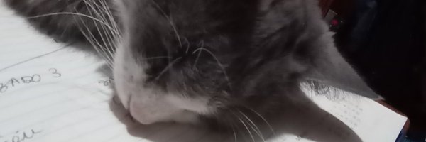 MartinNovo3 Profile Banner
