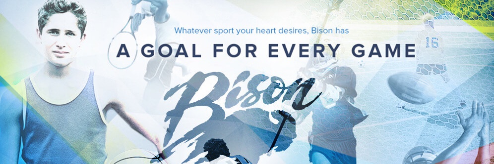 Bison, Inc. banner
