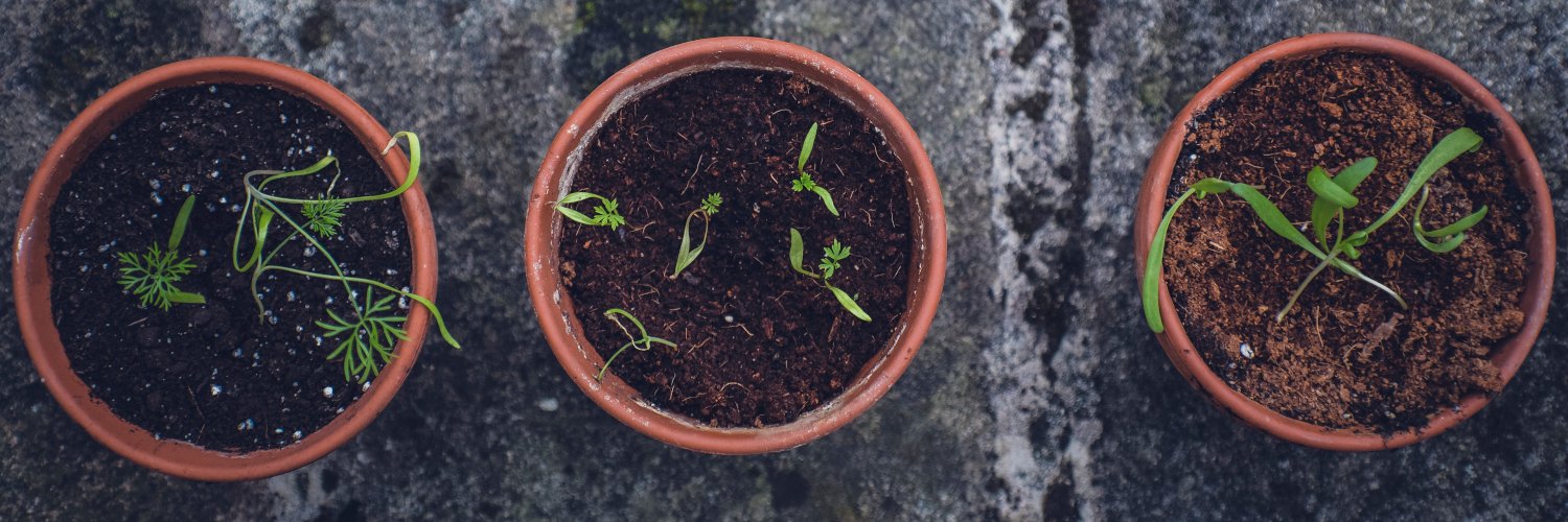 TommiSap's profile banner image
