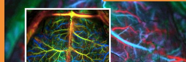 jbiophotonics Profile Banner