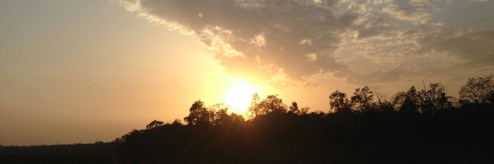 Krity  Shrestha banner