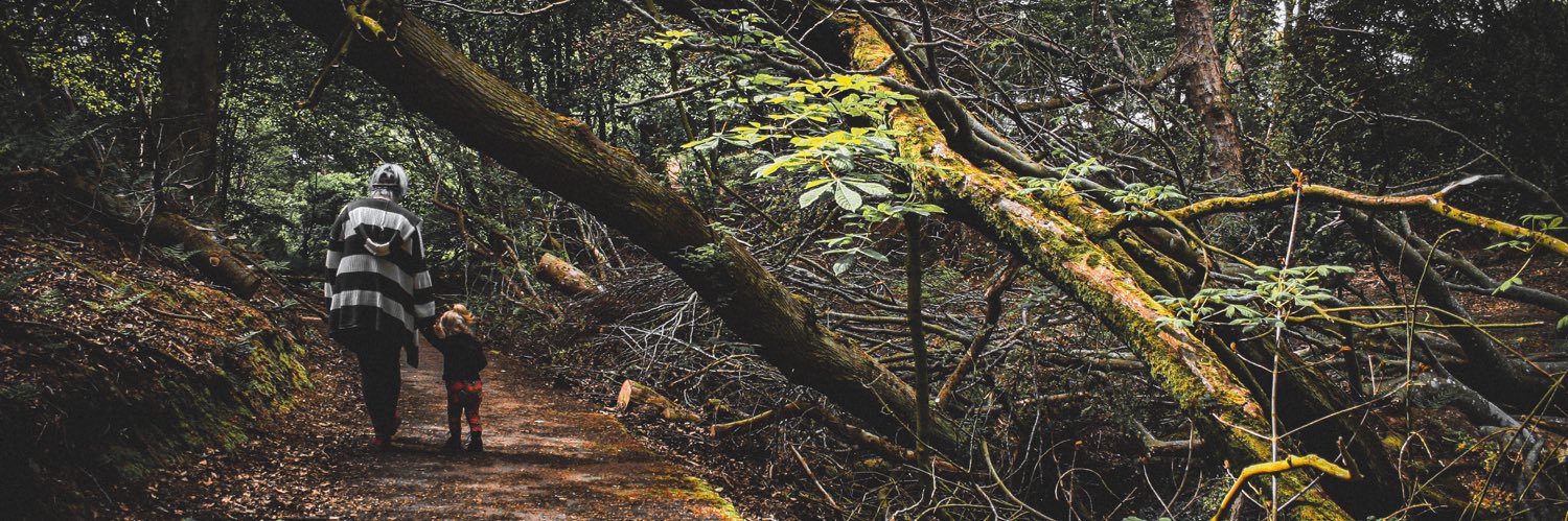 EcoGof's profile banner image