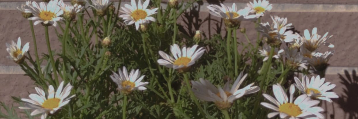 mickey_heah's profile banner image
