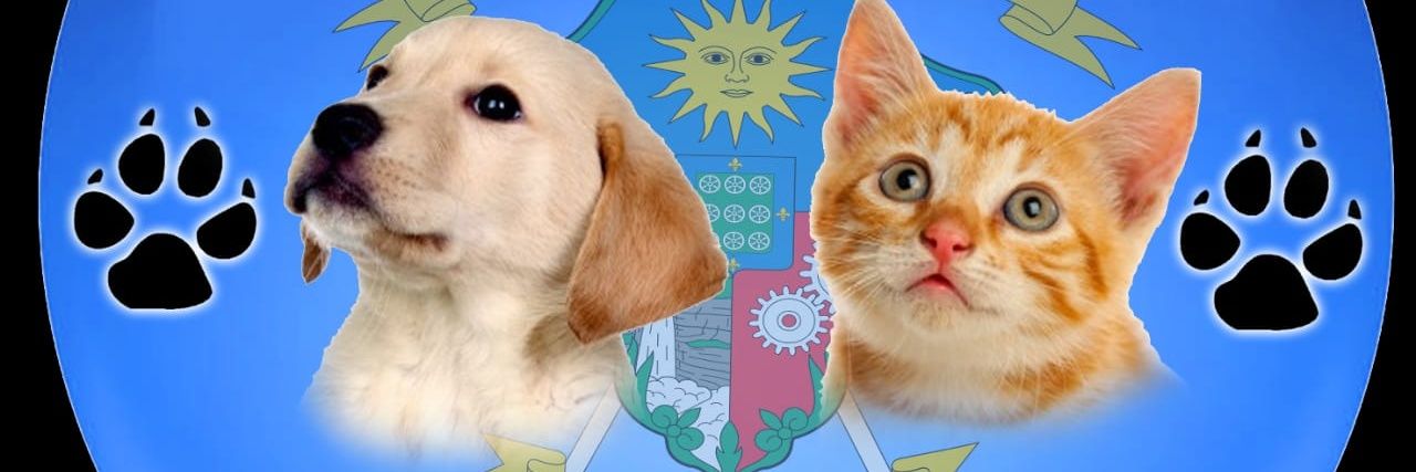 Julieth Animasu animalistas Soacha 🐱 🐾 🐶 banner