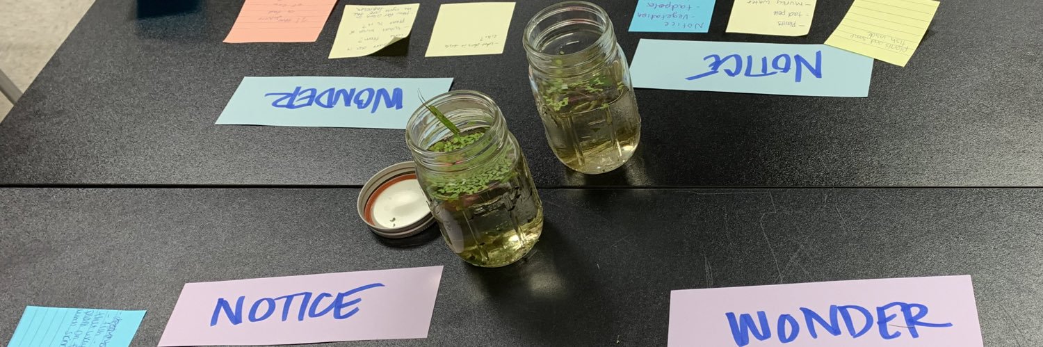 Donald Crain, M.Ed: Texas Educator banner