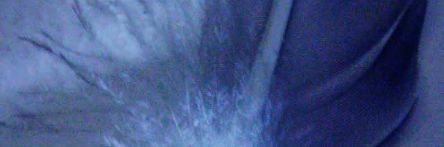 kroko040's profile banner image