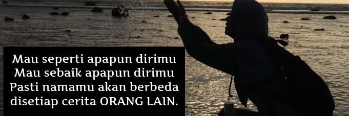 June Malkan banner
