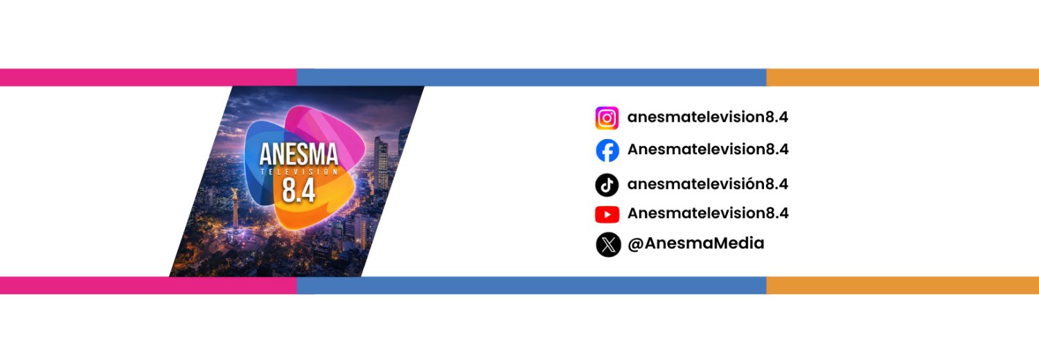 Anesma.Televisión banner