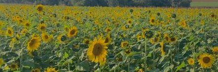 ☁🌤 banner