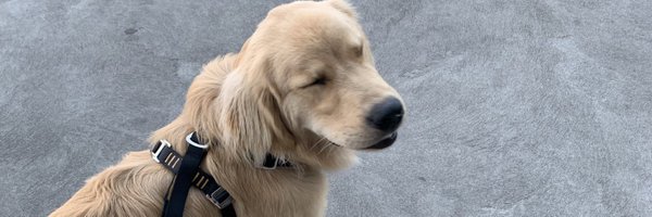 OShadoe Profile Banner