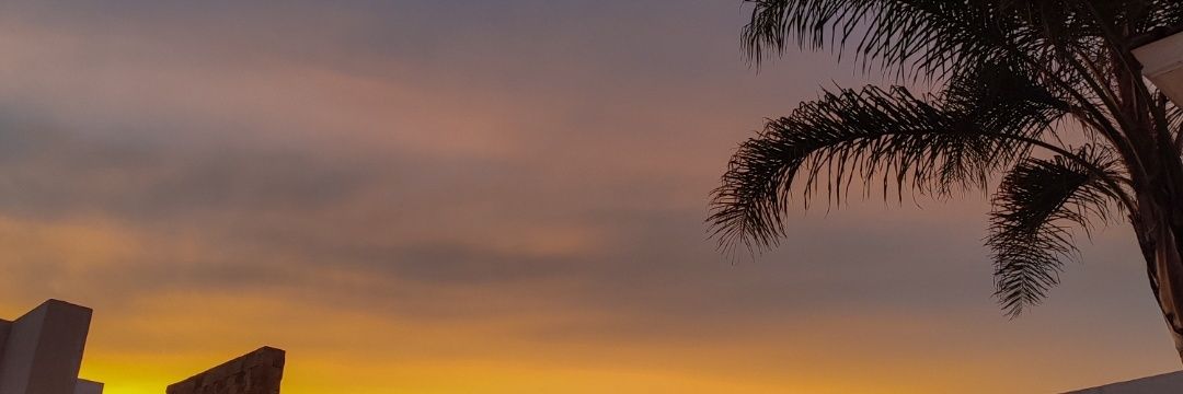 Feraraiza_'s profile banner image