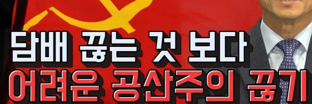 다시다 banner