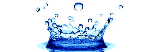 TimPardee1 Profile Banner