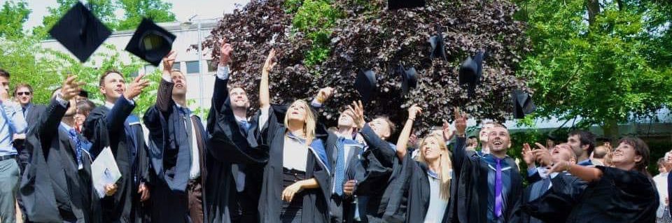 This is no Paradise 🇬🇧 🇦🇱 banner