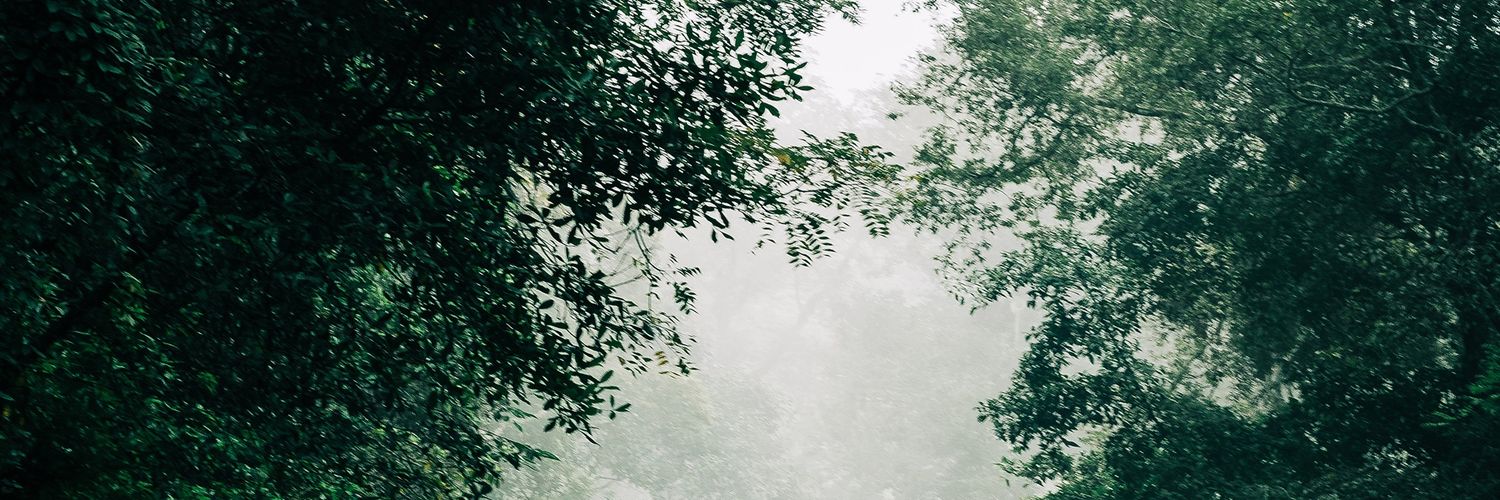 aynurbkrr's profile banner image