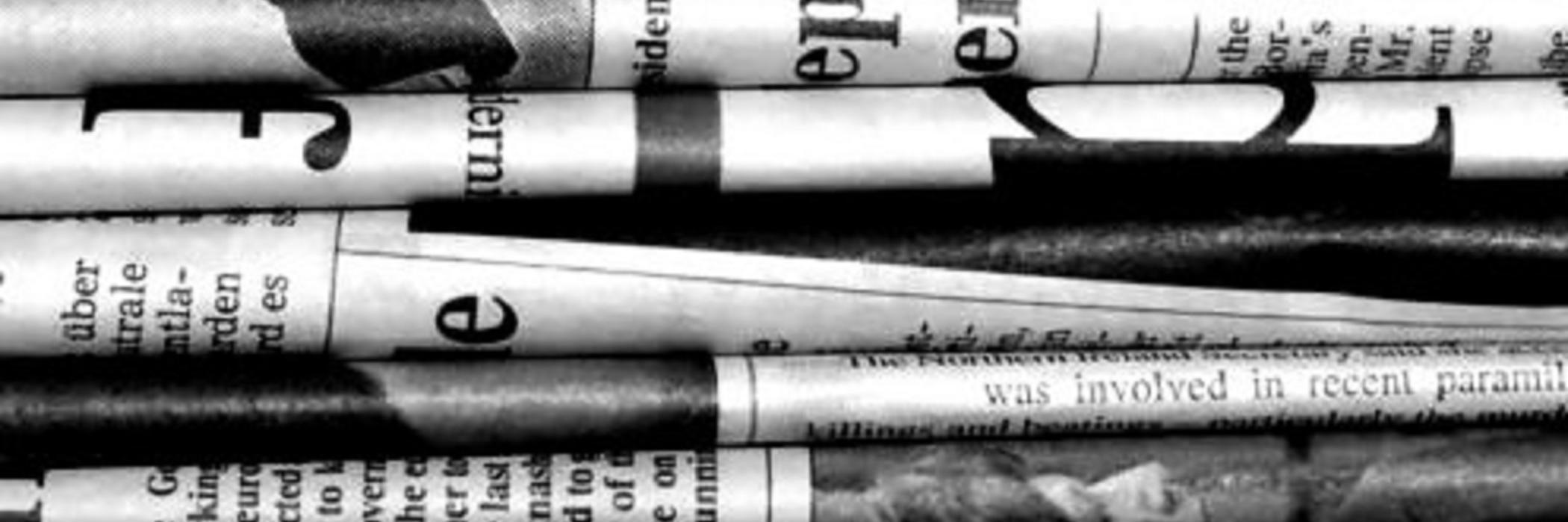 Suzana Starikov banner