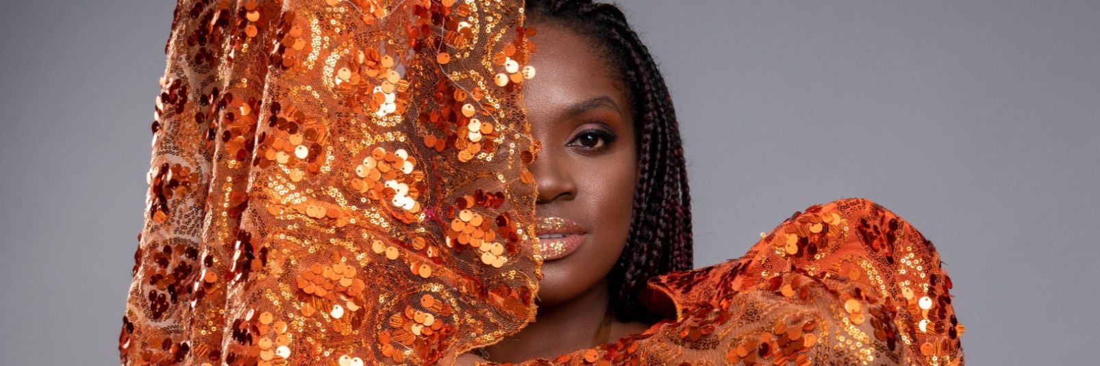 ToussaintMimi's profile banner image