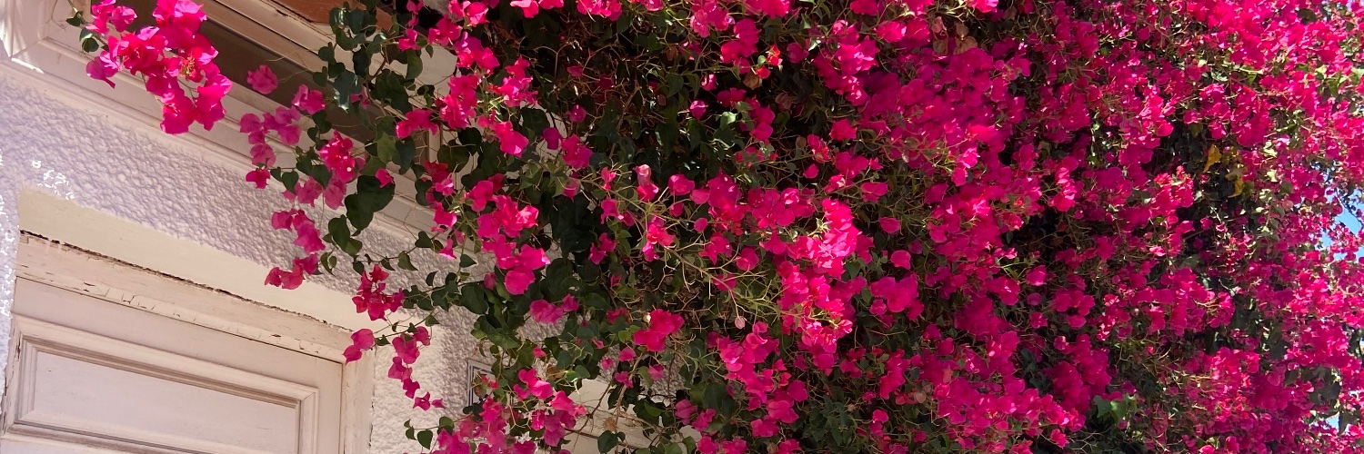 VictoriaaIngles's profile banner image