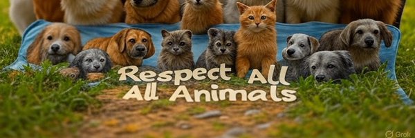 RespectAllAnima Profile Banner