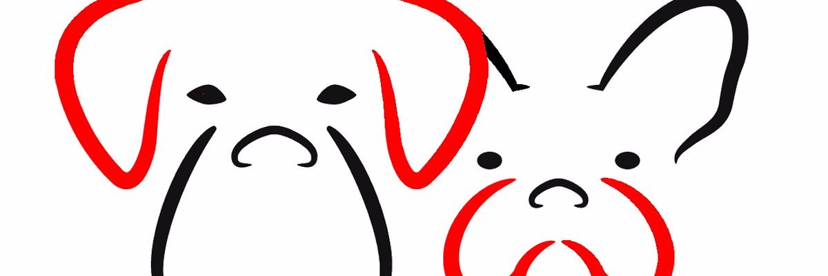 Bob Kitchin banner