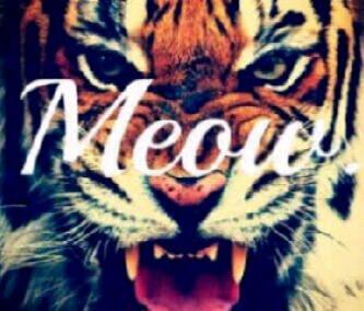 Xantz10ibbo's profile banner image