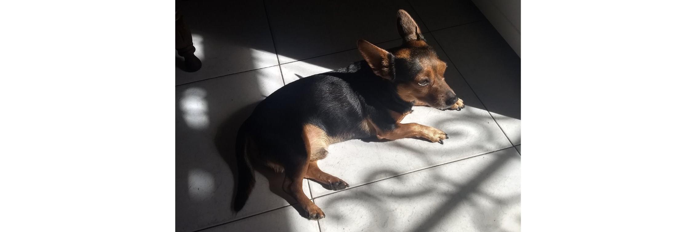 maximilianoo's profile banner image