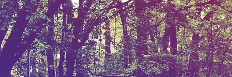 tsudauniversity's profile banner image