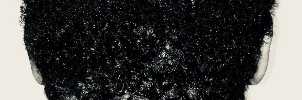folilo's profile banner image