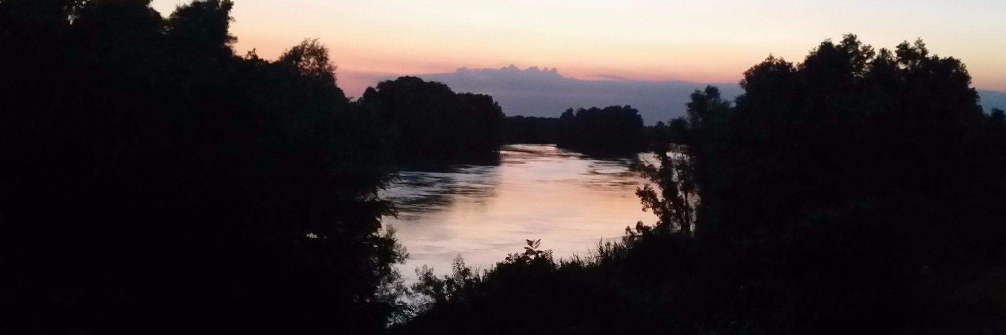 Giovanni D’Alessio banner