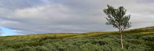 AndBryn Profile Banner