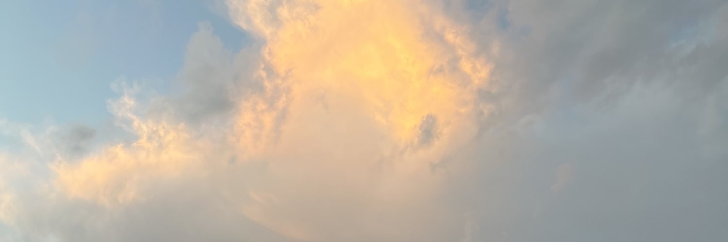 struckman1's profile banner image