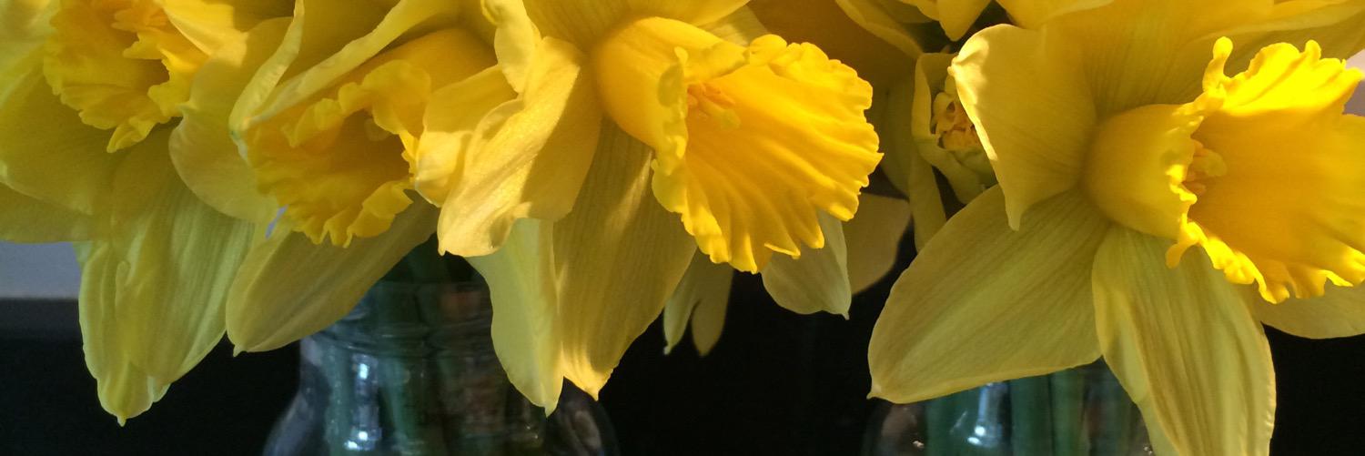 joellebruder's profile banner image