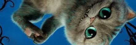 DujBejara's profile banner image