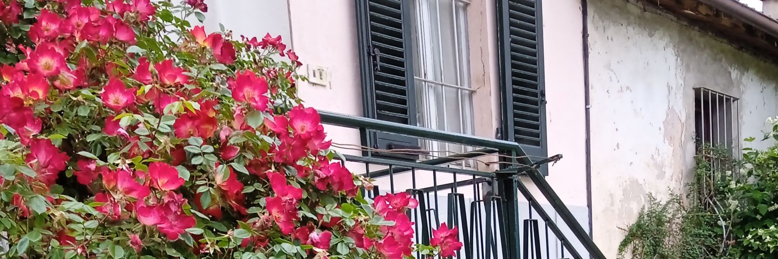 Francesca Bertaina's banner