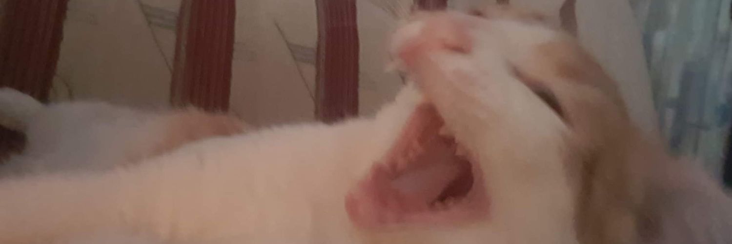 Amanarre's profile banner image
